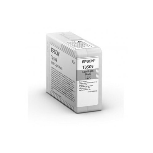 Epson Kartu&amp;scaron;a T8509 (C13T850900) (svetlo svetlo črna), original Slike