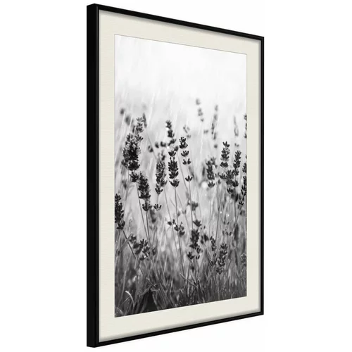  Poster - Shadow of Meadow 30x45