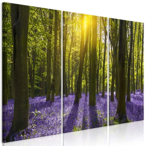  Slika - Hyacinth Field (3 Parts) 120x80