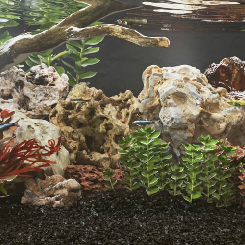 vidaXL Zmajev kamen 10 kg mešane barve 10-30 cm Cene