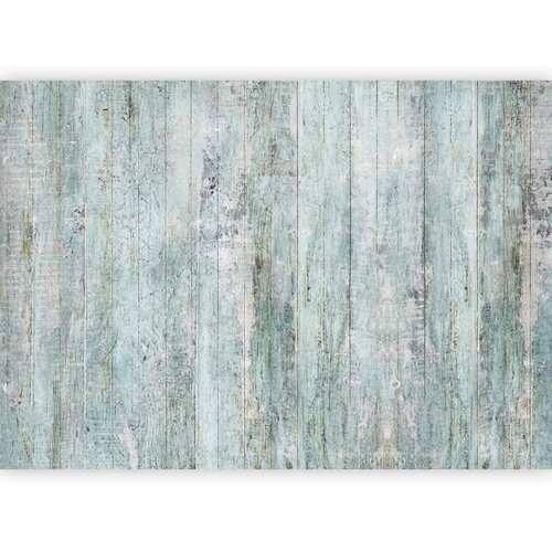  Foto tapeta - Rustic Textures - First Variant 450x315 Standard Slike