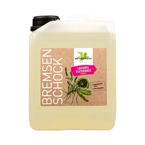 Bense & Eicke BremsenSchock Sommer-Edition - 2,50 l Cene
