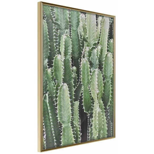  Poster - Cactus Plantation 30x45