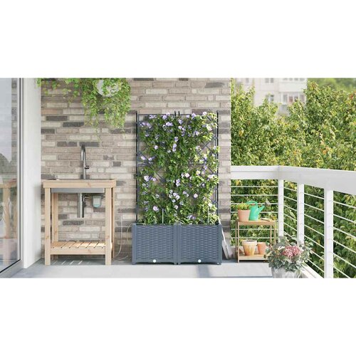  Vrtna saksija 2 pcs Svijetlo siva 80 x 40 x 142 cm Plastika Slike
