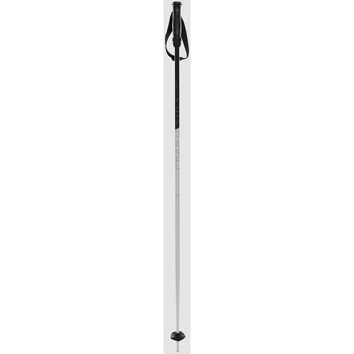 Völkl Phantastick III 2024 Smucarske palice white Cene