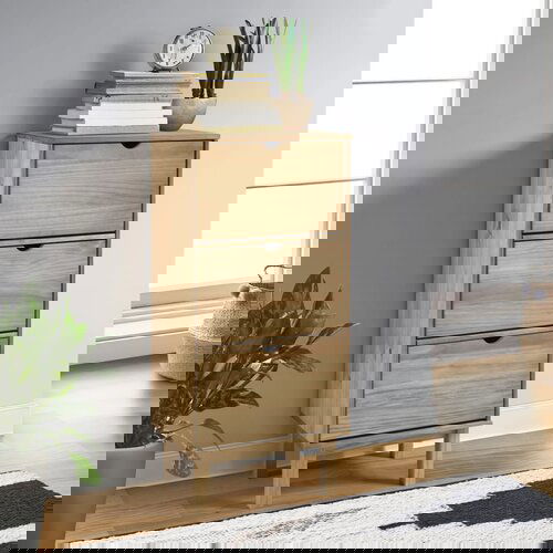 vidaXL Ormarić za cipele OTTA s 3 ladice smeđi od masivne borovine Cijene