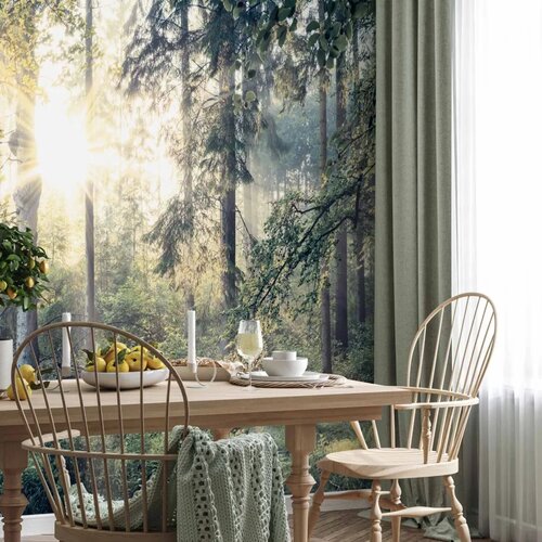  Foto tapeta - Tales of a Forest 300x210 Standard Slike