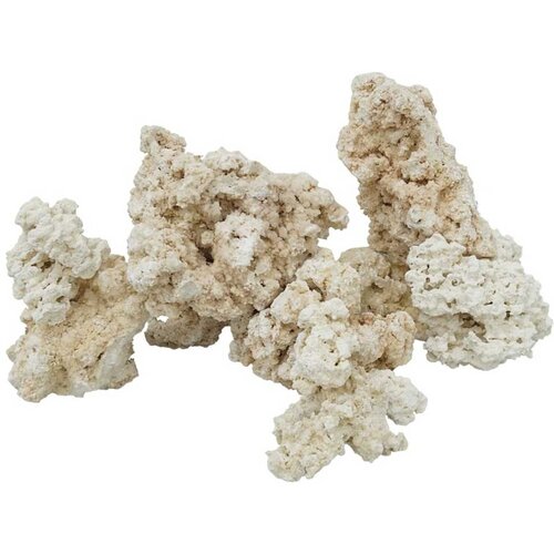 Prirodni Kamen Natural reef rock - Base rock Cene