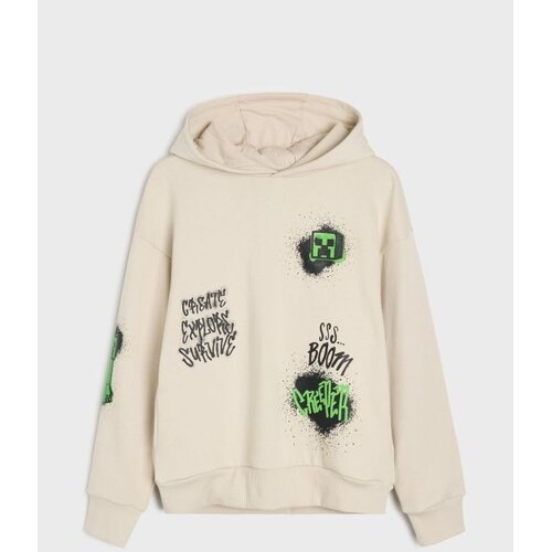 Sinsay Oversize hoodie s printom Minecraft Cijene