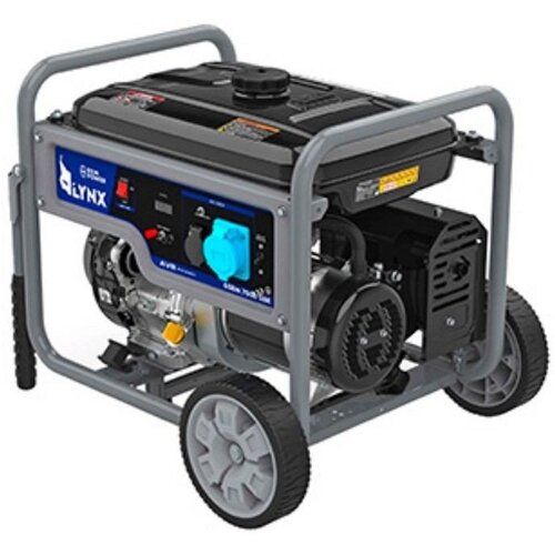 REM POWER Agregat GSEM 6000 SDE, 10kW, 15l Cene