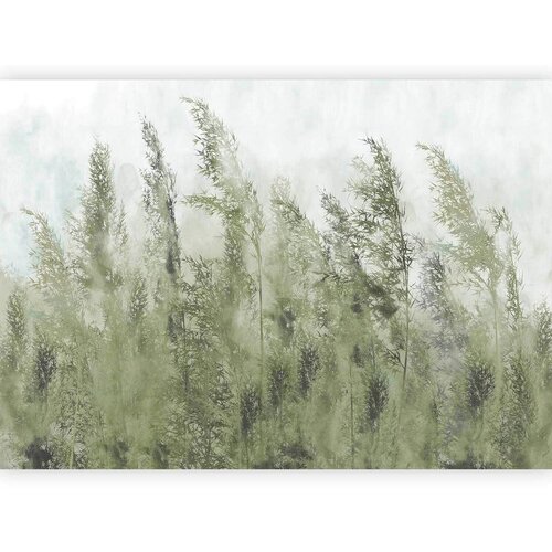 Artgeist Fototapeta Tall Grasses, 300x210cm Cene