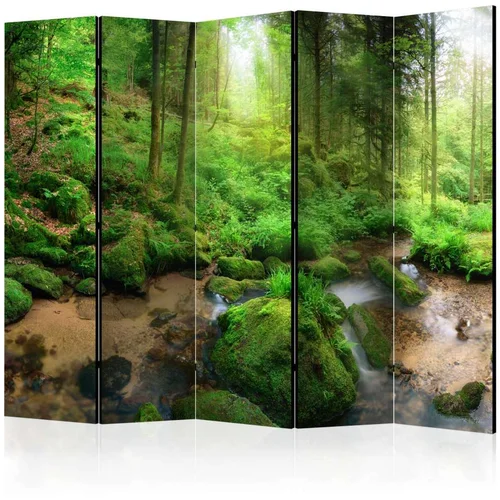  Paravan u 5 dijelova - Humid Forest II [Room Dividers] 225x172