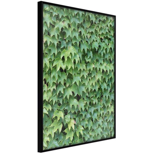  Poster - Hidden 30x45 Slike