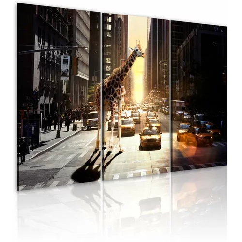  Slika - Giraffe in the big city 60x40