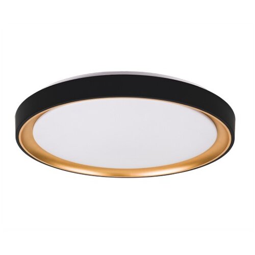 Mitea Lighting M205460 36W 6500K LED SMD crno - zlatna plafonjera Cene