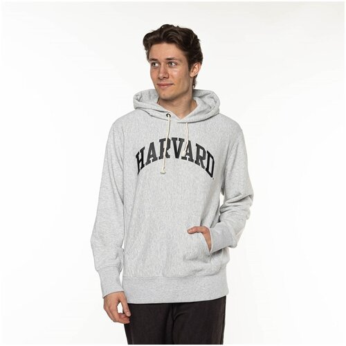 Champion Harvard Siva Slike