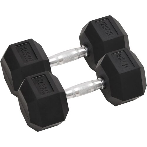 VidaXL Utež 2 kosa 25 kg lito železo Slike