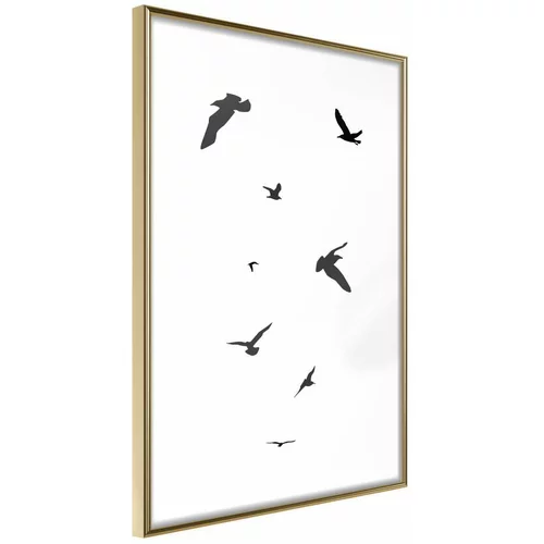  Poster - Birds 20x30