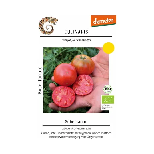 Culinaris Bio grmičast paradižnik Silbertanne