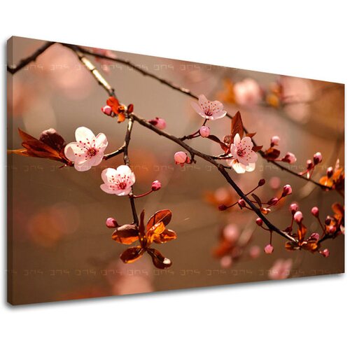  Slike na platnu cveće  (moderne slike na platnu) Cene