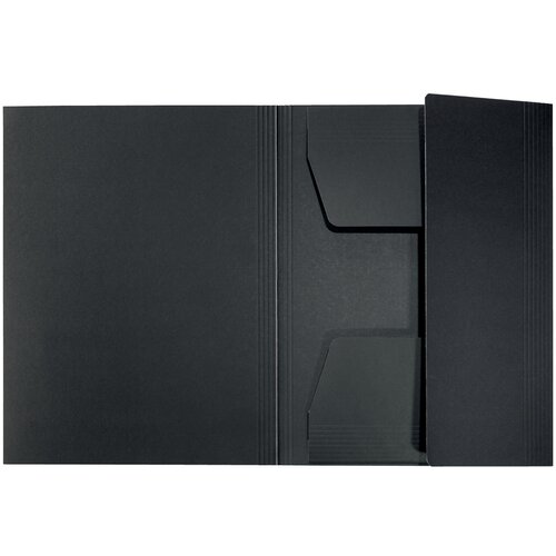 Leitz legal mapa Recycle, DIN A4, karton 430 g/m2, črna, (21651104) Cene