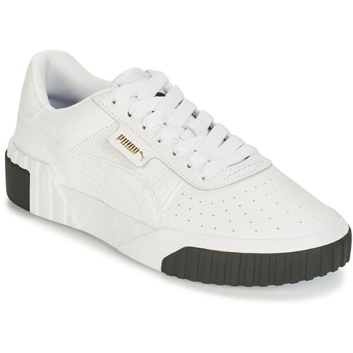 Puma cali bijela Slike