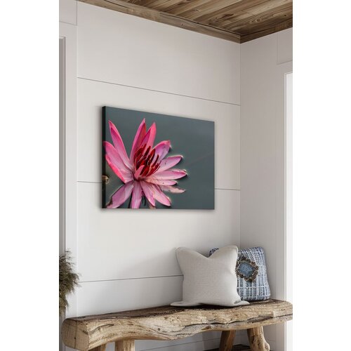 Wallity slika Ersyfdc21, 50x70 cm Cene