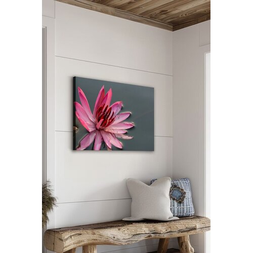 Wallity Slika Ersyfdc21, 50x70 cm Cene