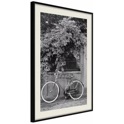 Poster - Bicycle with White Tires 30x45
