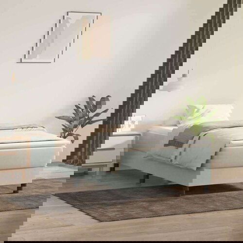 Box spring postelja z vzmetnico svetlo siva 80x220 cm žamet, (21791788) Slike