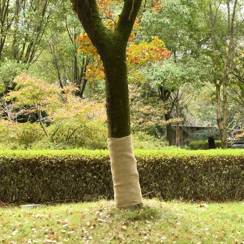 vidaXL Rola iz jute 1x50 m 100 % juta 200 g/m² Cene