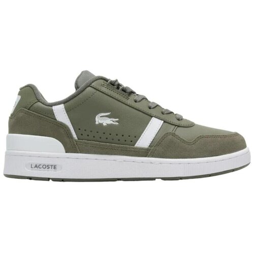 Lacoste Nizke superge - Zelena Cene