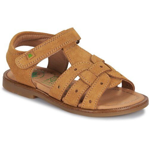 El Naturalista 15275-SETTER Smeđa Slike