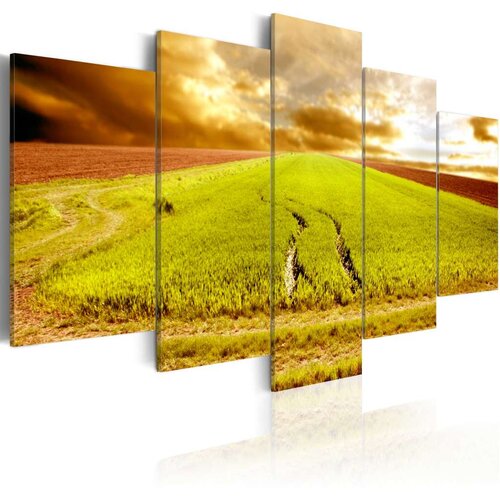  Slika - Wheels traces on a field 100x50 Cijene