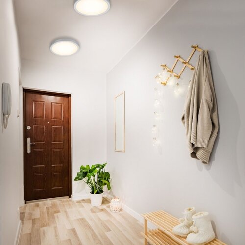 BRILONER 7143-014 - led plafonsko svetlo fire LED/24,5W/230V 3000K Slike