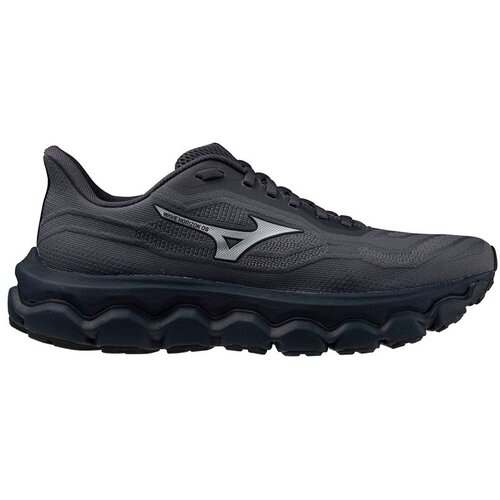 Mizuno Nizke superge Wave Horizon 9 Črna Cene