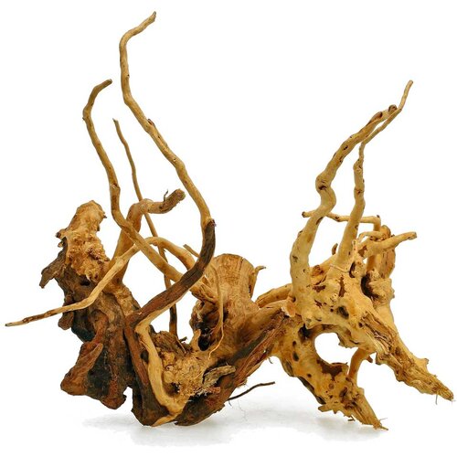 Akvarijum Centar Red moor wood drvo za akvarijum - xxl Cene