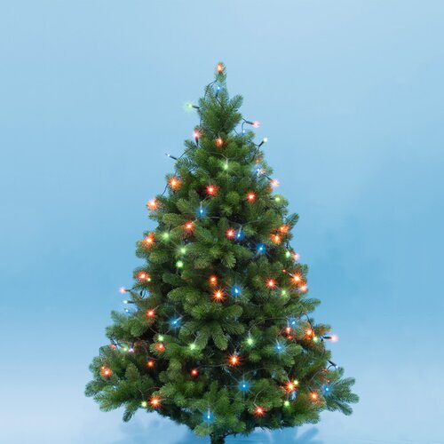 Home Somogyi Lampice za jelku sa 200 višebojnih LED dioda KII200/M Cene