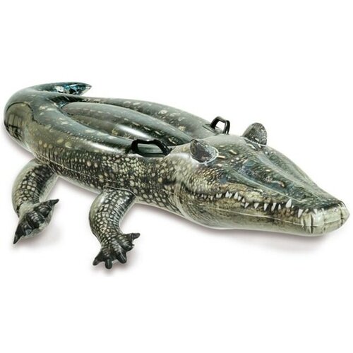 Intex NAPIHLJIVA IGRAČA ALIGATOR 170X86 CM Cene