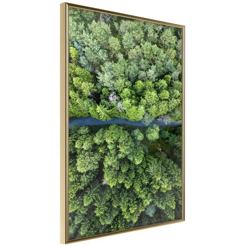  Poster - Forest from a Bird's Eye View 30x45 Cijene