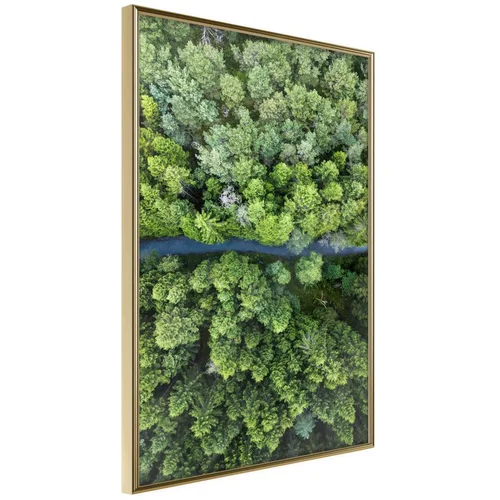  Poster - Forest from a Bird's Eye View 30x45