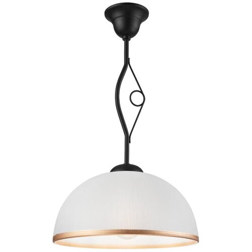  Luster na &scaron;ipci RETRO 1xE27/60W/230V mat crne boje Cene