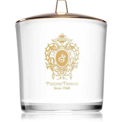 Tiziana Terenzi Spicy Snow mirisna svijeća s drvenim fitiljem 500 g Slike