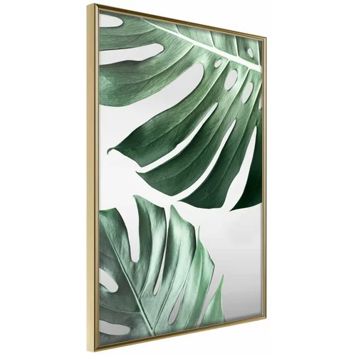 Poster - Leaves Like Swiss Cheese 20x30