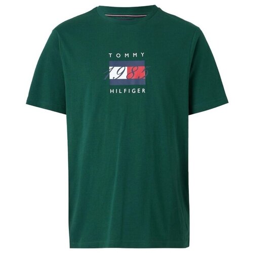 Tommy Hilfiger Majice &amp;amp; Polo majice LINEAR FLAG GRAPHIC TEE Zelena Slike