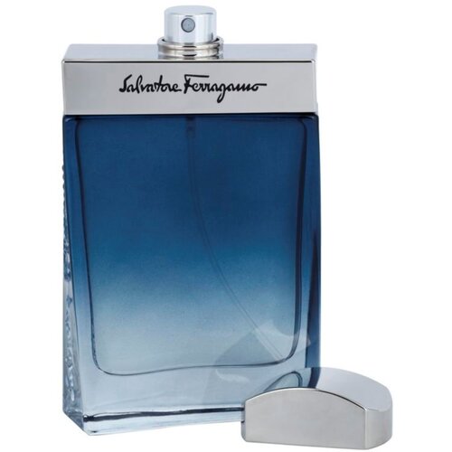 Salvatore Ferragamo Subtil Pour Homme toaletna voda za mo&amp;scaron;ke 50 ml Slike