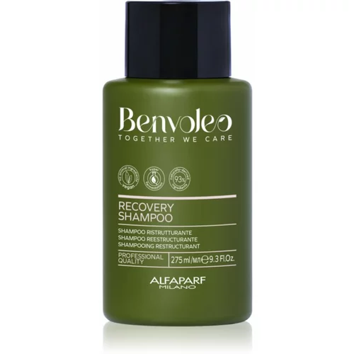 ALFAPARF MILANO Benvoleo Recovery restrukturirajući šampon za oštećenu kosu 275 ml