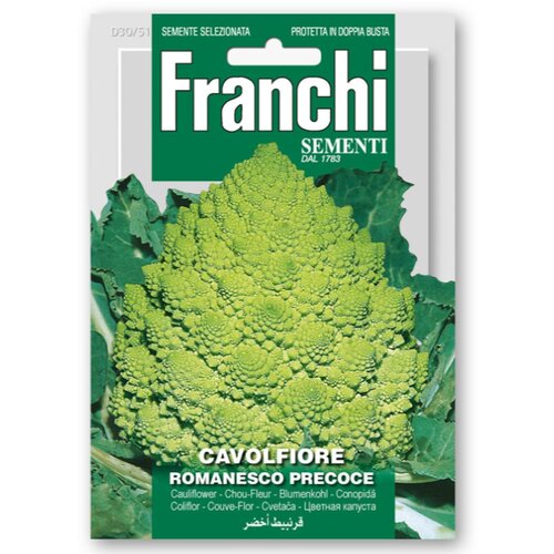 FRANCHI SEMENTI KAPUSNICA CVETAČA Slike