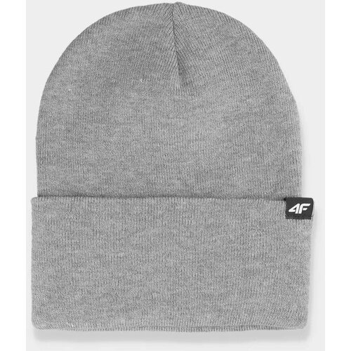 Kesi Double-layer winter hat 4F for men gray Cene