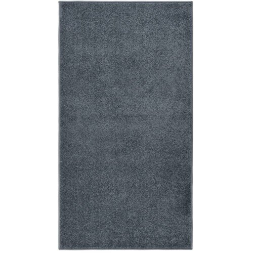  S kratkim vlaknima 80 x 150 cm antracit Slike